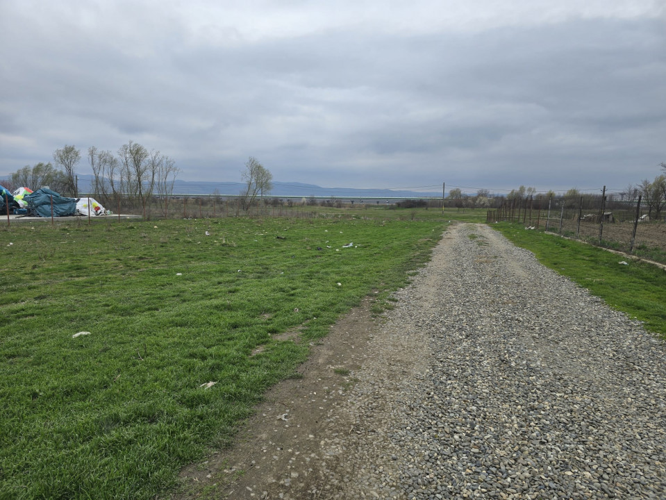 Teren intravilan de vanzare in Letea Veche / Rusi Ciutea - 825 mp