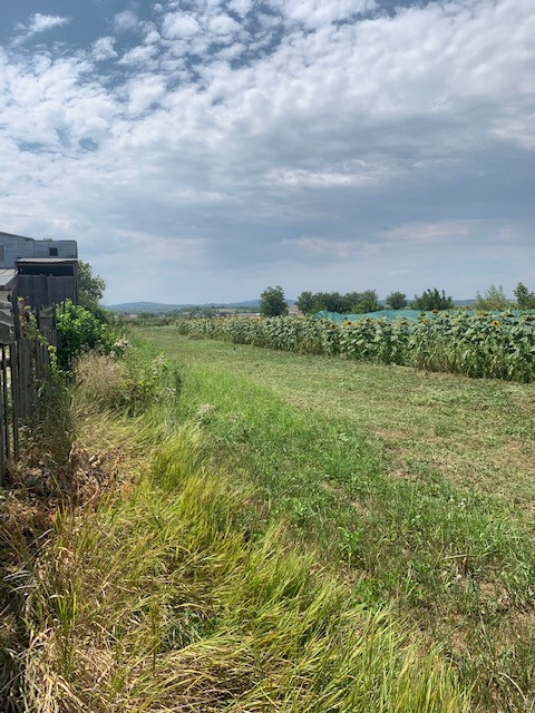 Casa cu 2.518 mp teren intravilan la drumul european, Sascut, jud. Bacau