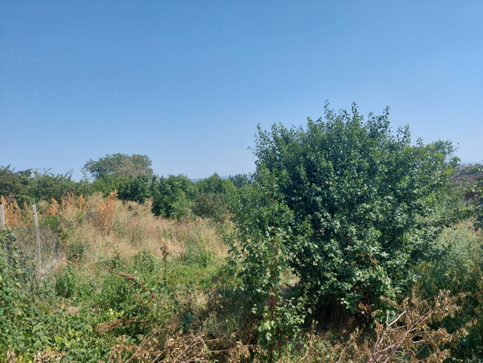 Teren pentru casa in Osebiti, Luizi Calugara