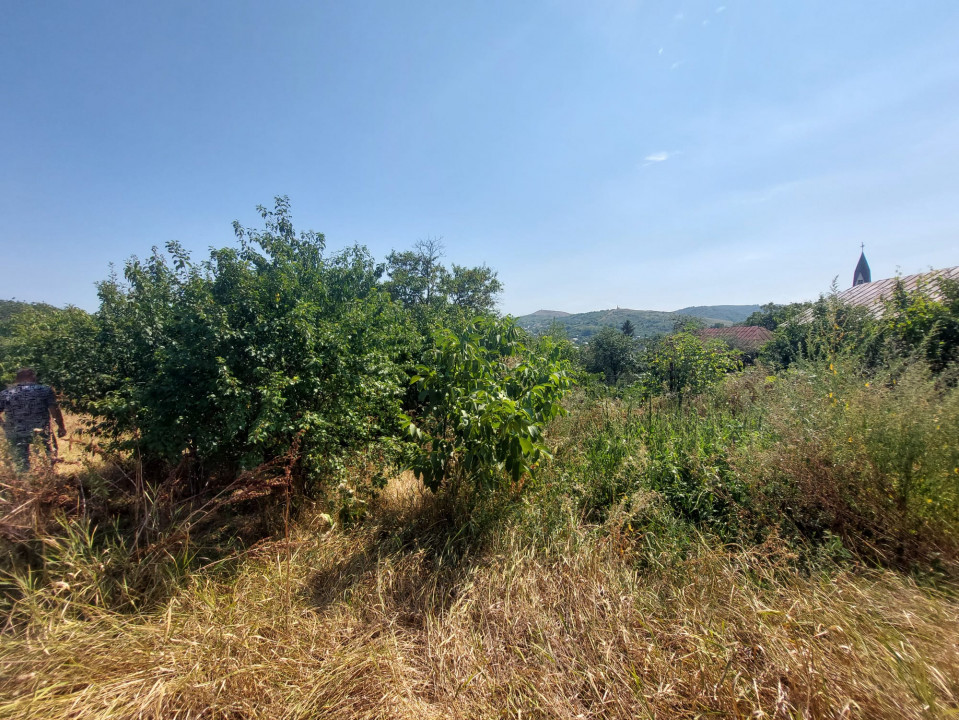 Teren pentru casa in Osebiti, Luizi Calugara