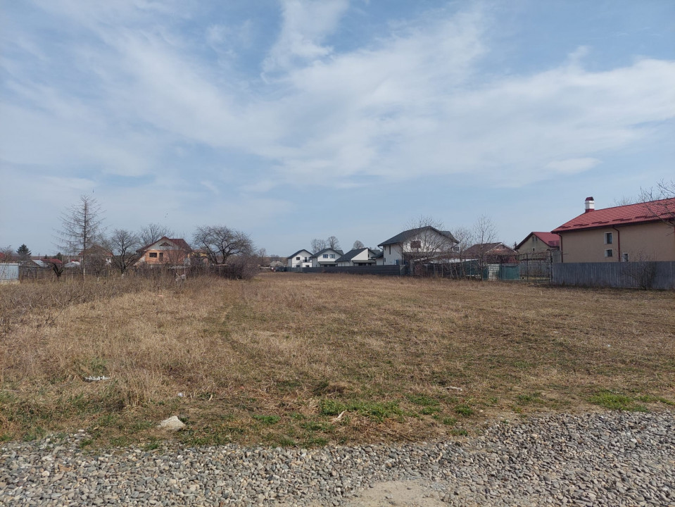 Teren superb in Serbanesti