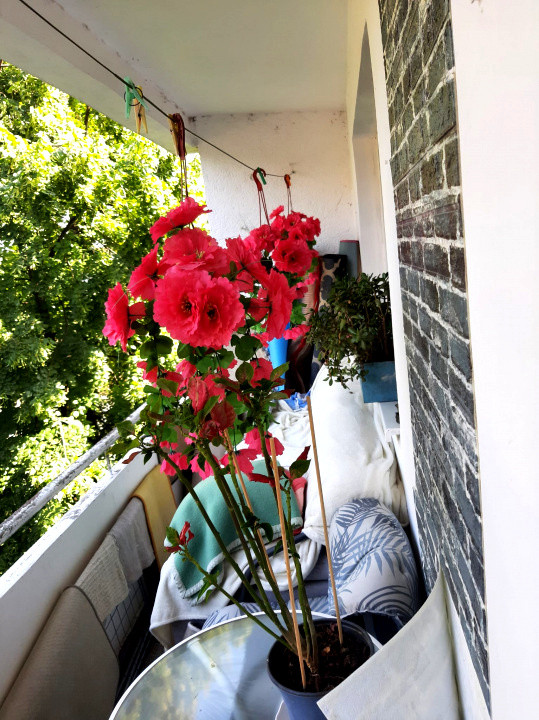 Apartament Cornisa etaj 2