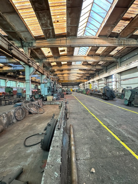 Vanzare/inchiriere 1-3 HALE si 1 cladire BIROURI, zona industriala mun. VASLUI 