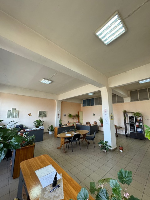 Vanzare/inchiriere 1-3 HALE si 1 cladire BIROURI, zona industriala mun. VASLUI 