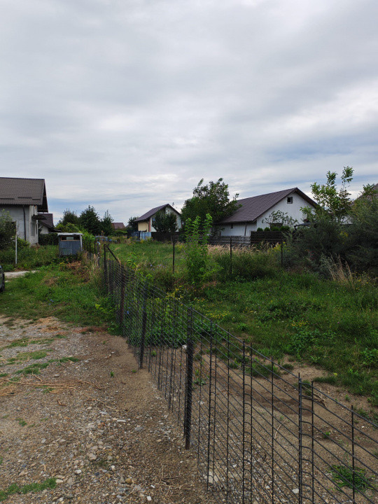 Teren 600mp Serbanesti