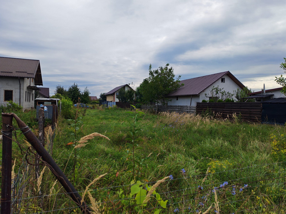 Teren 600mp Serbanesti
