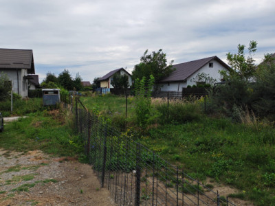 Teren 600mp Serbanesti