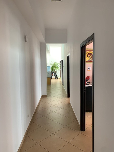 Hala de vanzare, an 2008, zona industriala Bacau