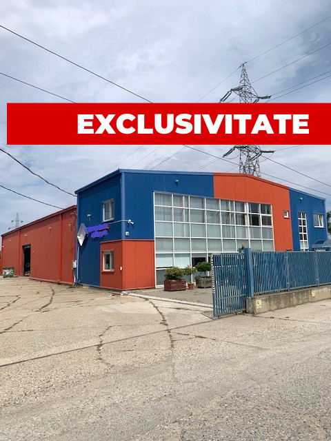 Hala de vanzare, an 2008, zona industriala Bacau