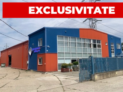 Hala de vanzare, an 2008, zona industriala Bacau