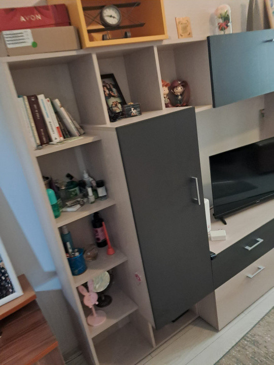 Garsoniera vanzare Milcov