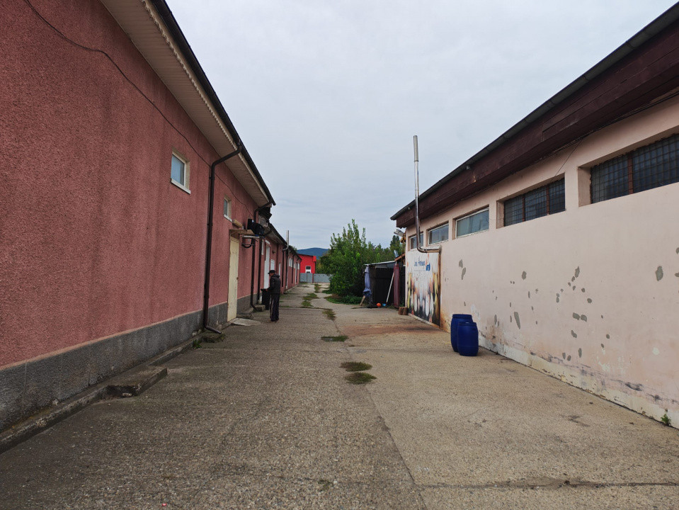 Hala vanzare Calea Republicii