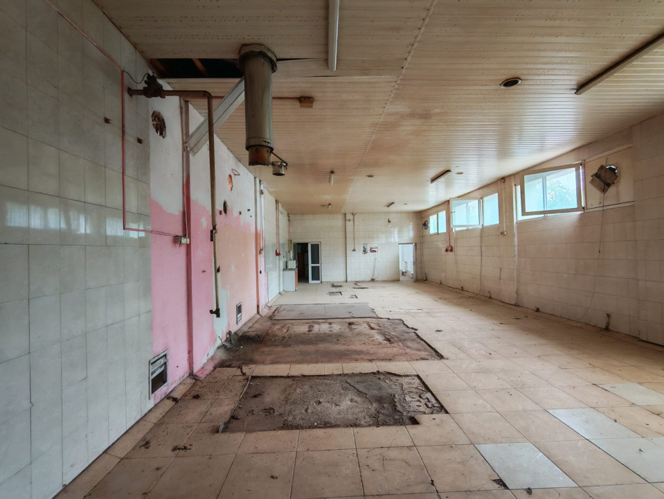 Hala vanzare Calea Republicii