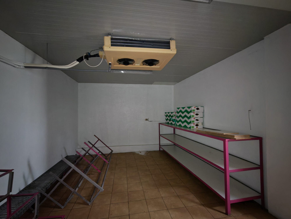 Hala vanzare Calea Republicii