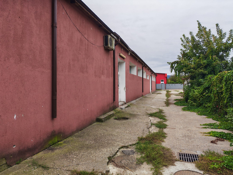 Hala vanzare Calea Republicii