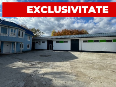 Hale si birouri de inchiriat, str. Constantei, Bacau