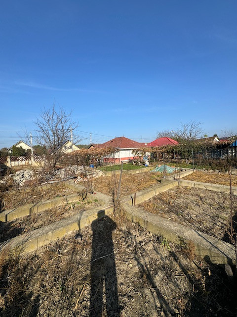 Casa cu 807 mp teren de vanzare, SERBANESTI,  str. Spicului-Bacau