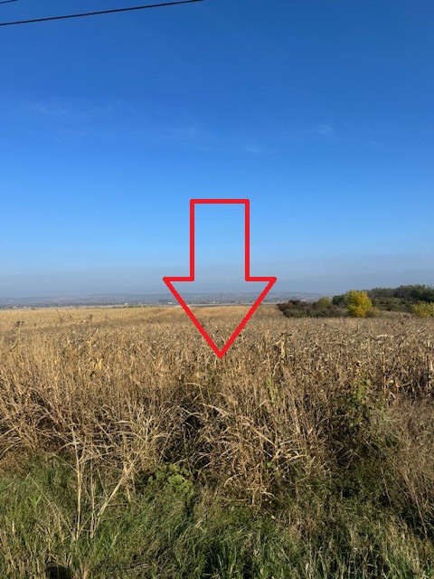 Teren 6.668 mp, de vanzare, loc. BOGDAN VODA, la E-85, com. Saucesti, jud. Bacau