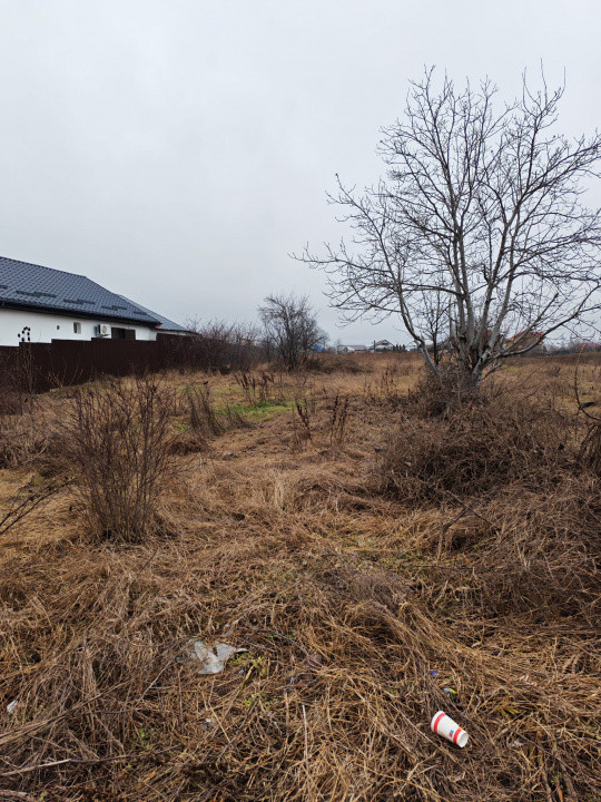 Teren pentru investitii in Izvoare