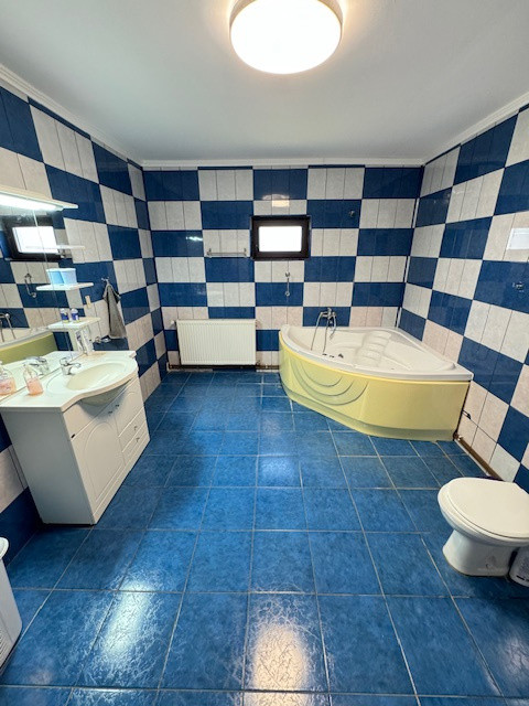 Vila P+2 de vanzare, loc. Dumbrava, com. Itesti, Jud. Bacau