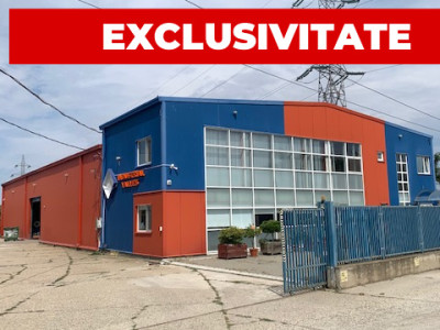 Hala de vanzare, an 2008, zona industriala Bacau