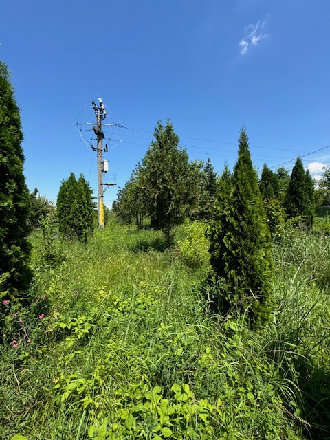 Teren intravilan de vanzare, 3000 mp, Izvoare, Bacau