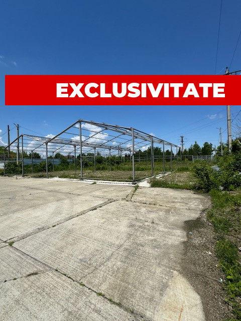 Teren intravilan de vanzare, 3000 mp, Izvoare, Bacau