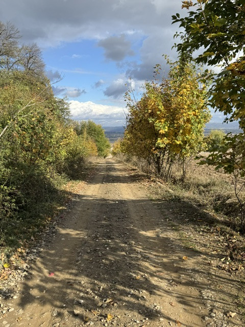 Teren 3692 mp de vanzare, loc. Hemeius-Fantanele, jud. Bacau